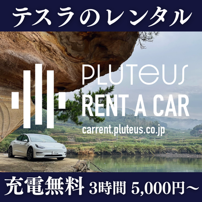 テスラ専門のレンタカーサービス